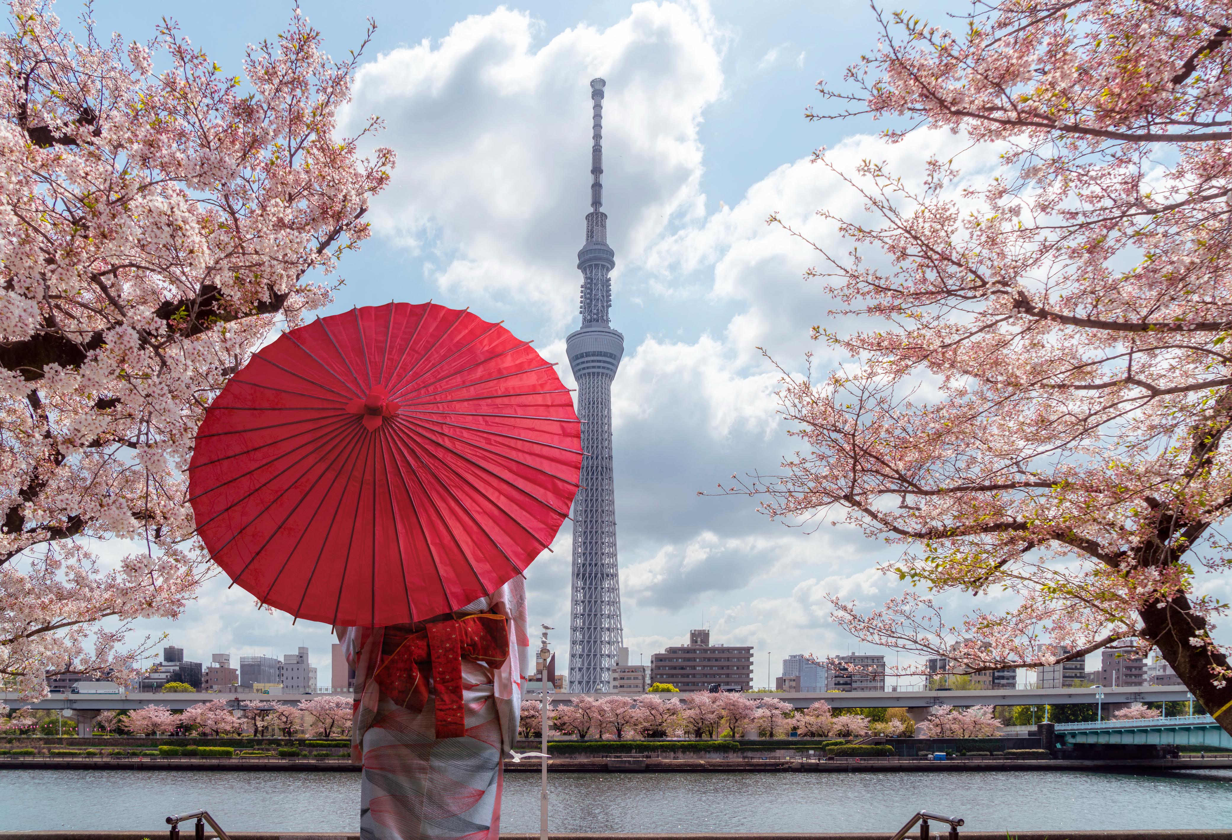 Tokyo & Kyoto Discovery Tour – Modern Japan Meets Tradition (7 Days)